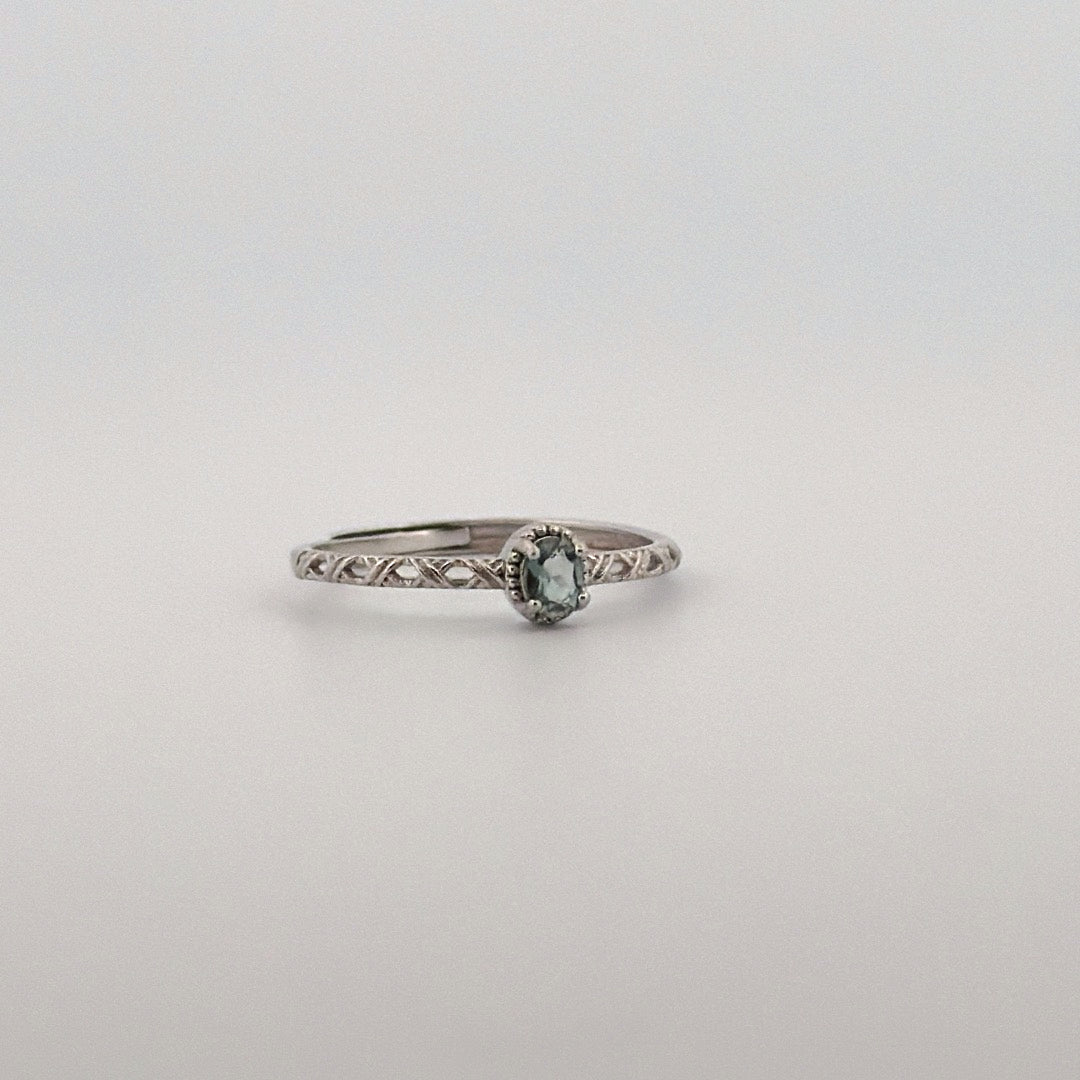 Aquamarine S925 Adjustable Ring
