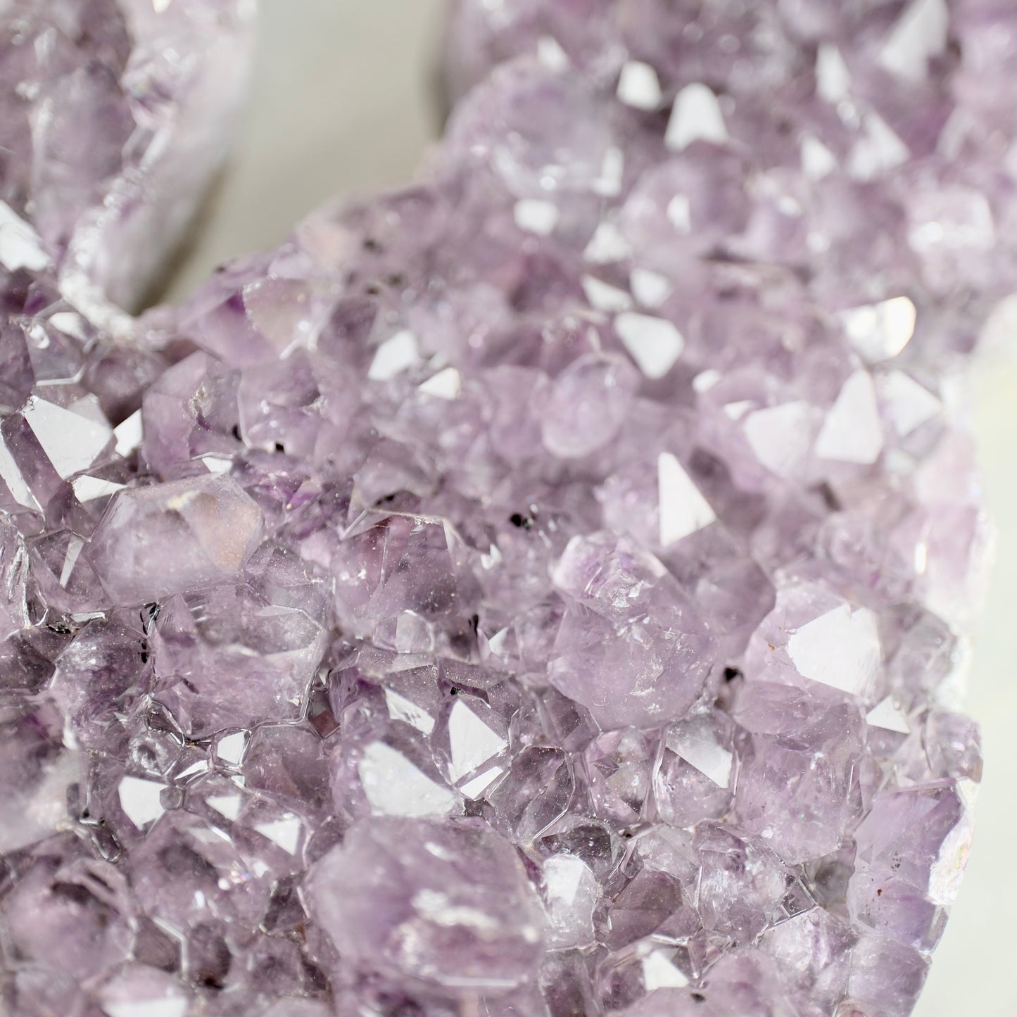 Amethyst Cat Cluster - Brazil