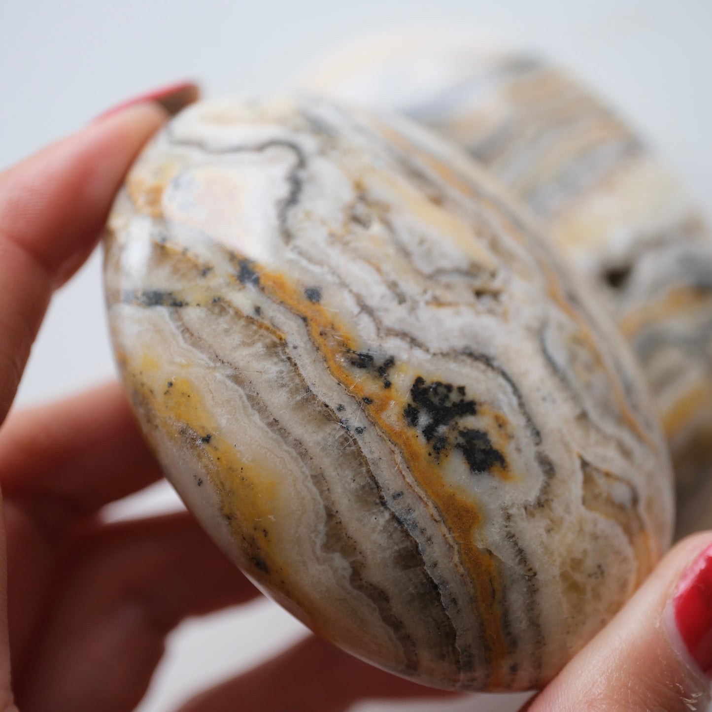 Bumblebee Jasper Palm Stone