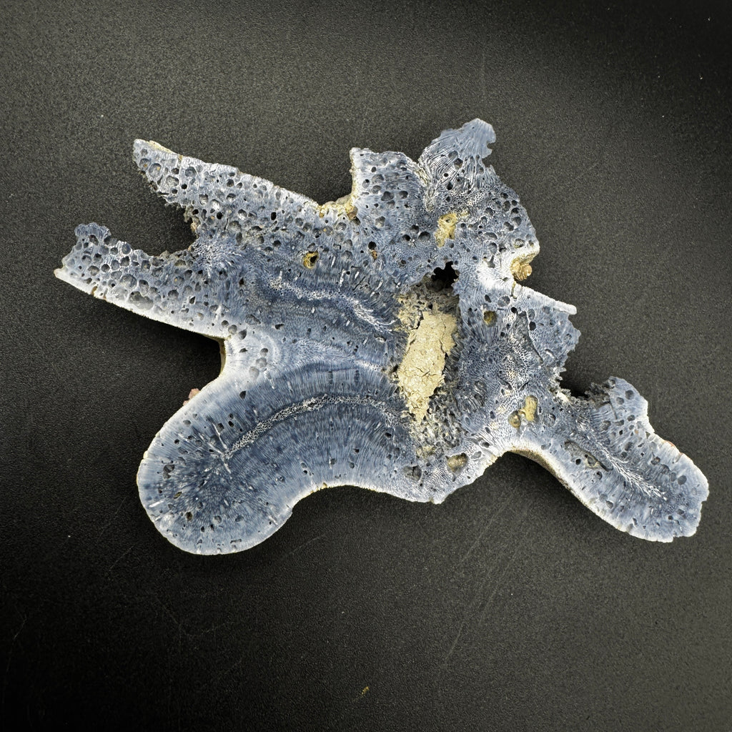 Australian Blue Coral Slabs