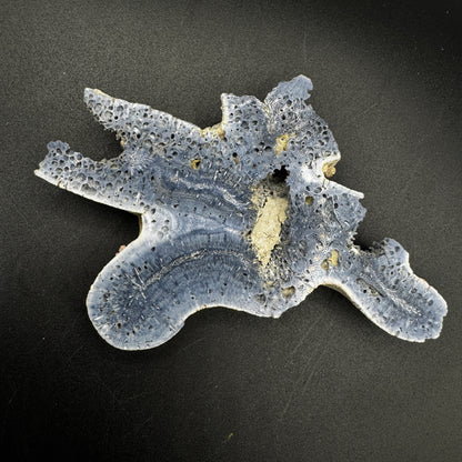 Australian Blue Coral Slabs