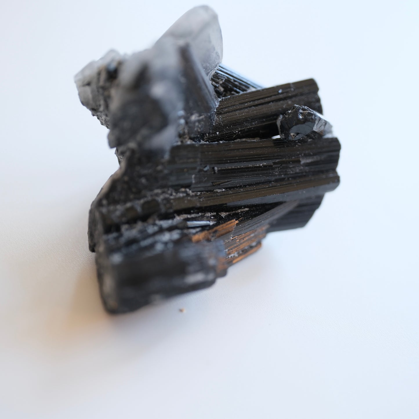 Black Tourmaline in Quartz High Quality Specimens