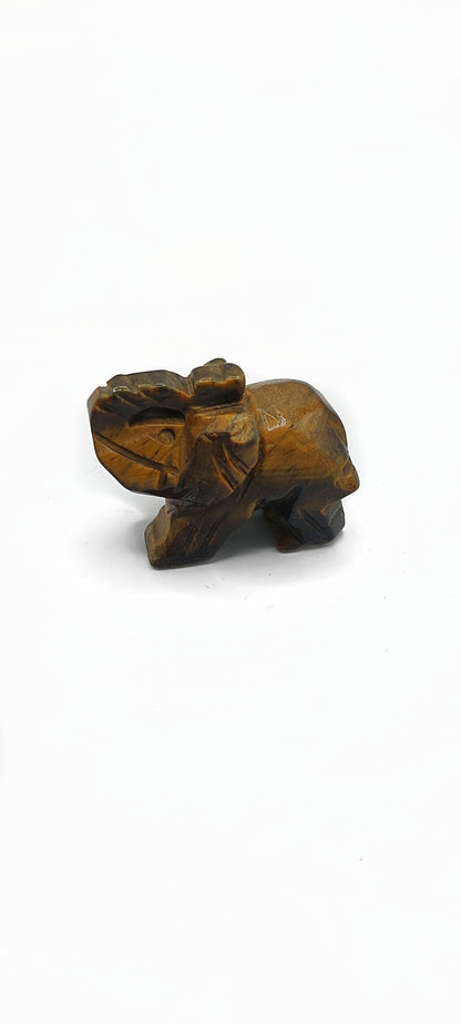 Small Tigers Eye Elephant