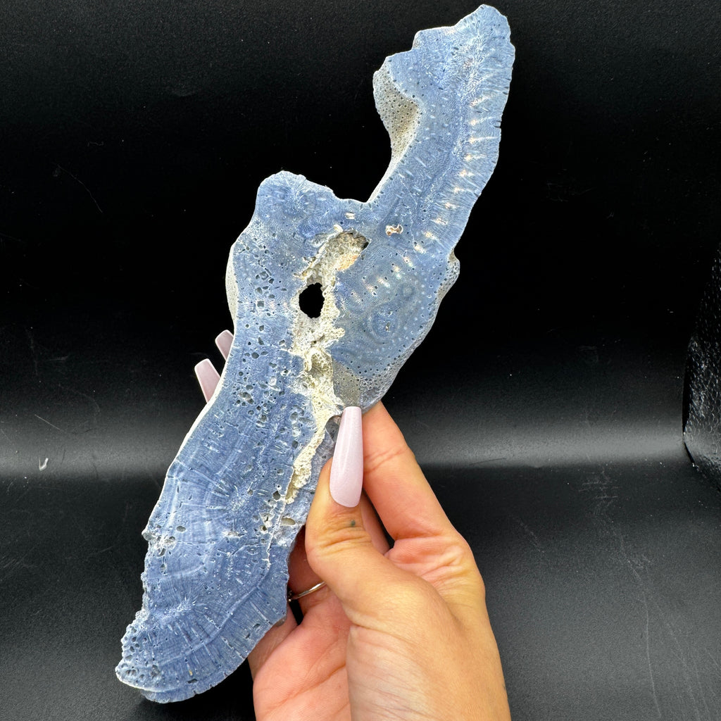 Australian Blue Coral Slabs