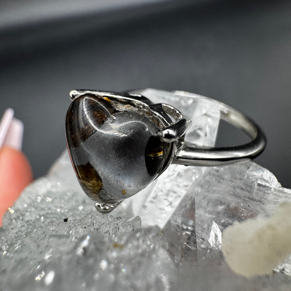 Pallasite Adjustable Ring