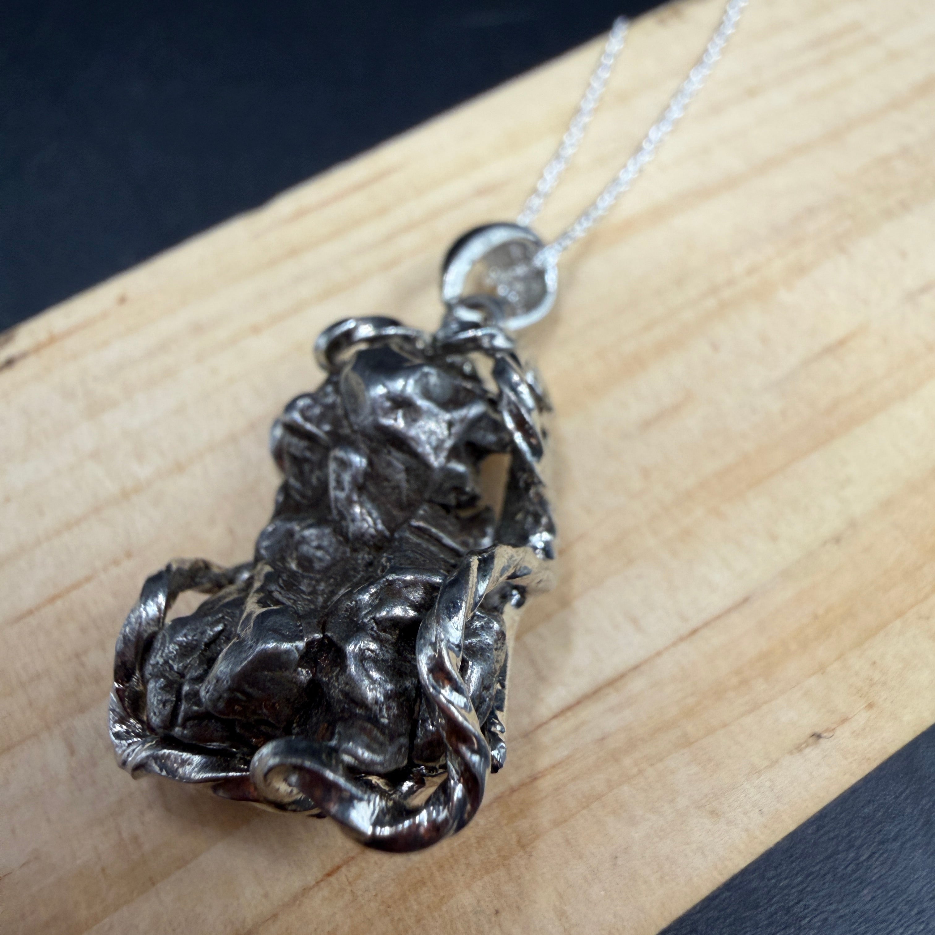 Argentina Iron Meteorite S925 Necklace