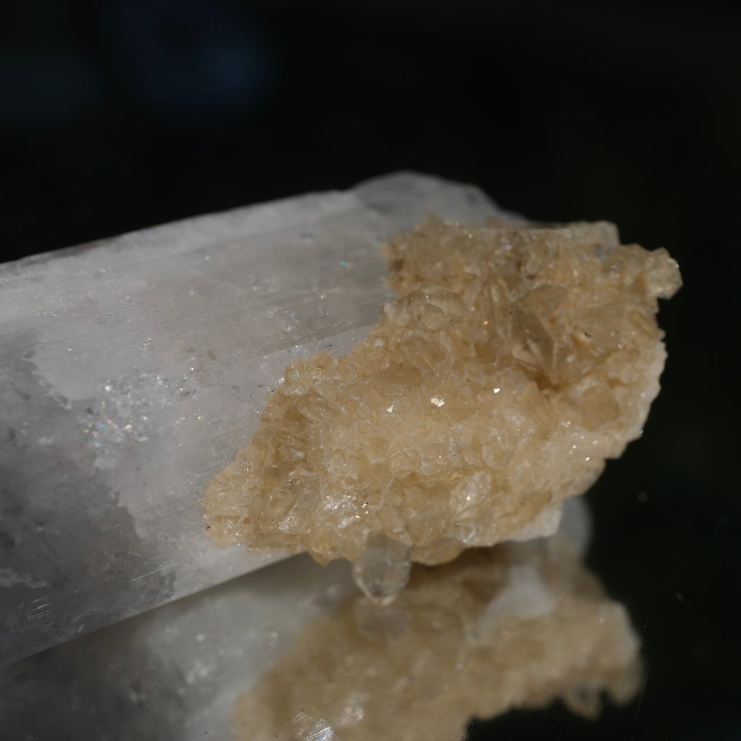 Danburite with Citrine *RARE*