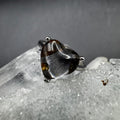 Pallasite S925 Adjustable Ring