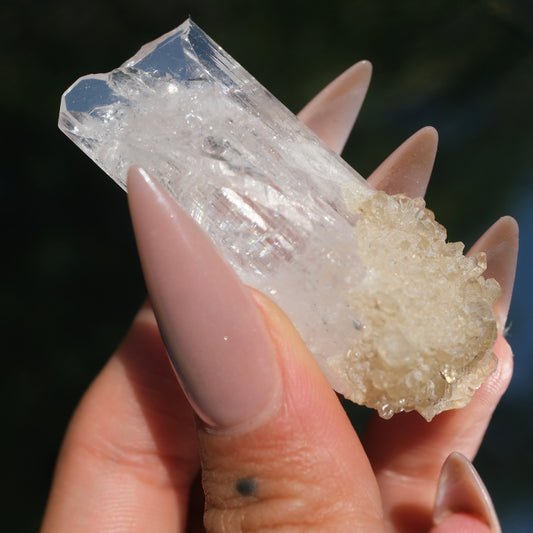 Danburite with Citrine *RARE*