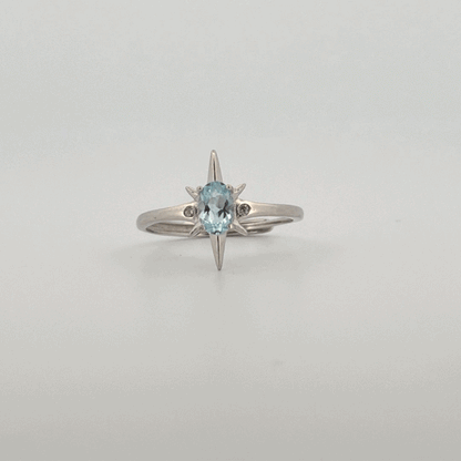Aquamarine S925 Adjustable Ring