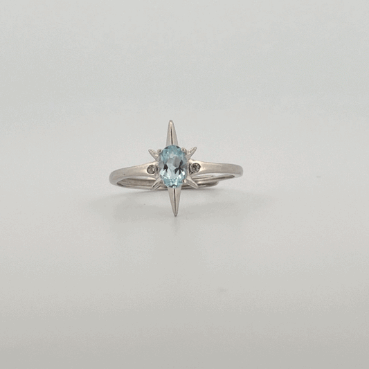 Aquamarine S925 Adjustable Ring