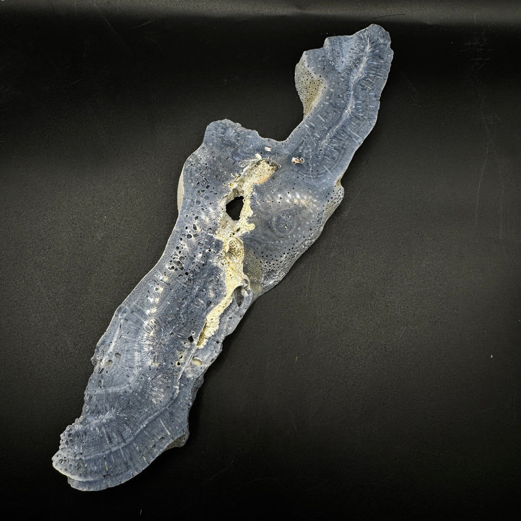 Australian Blue Coral Slabs