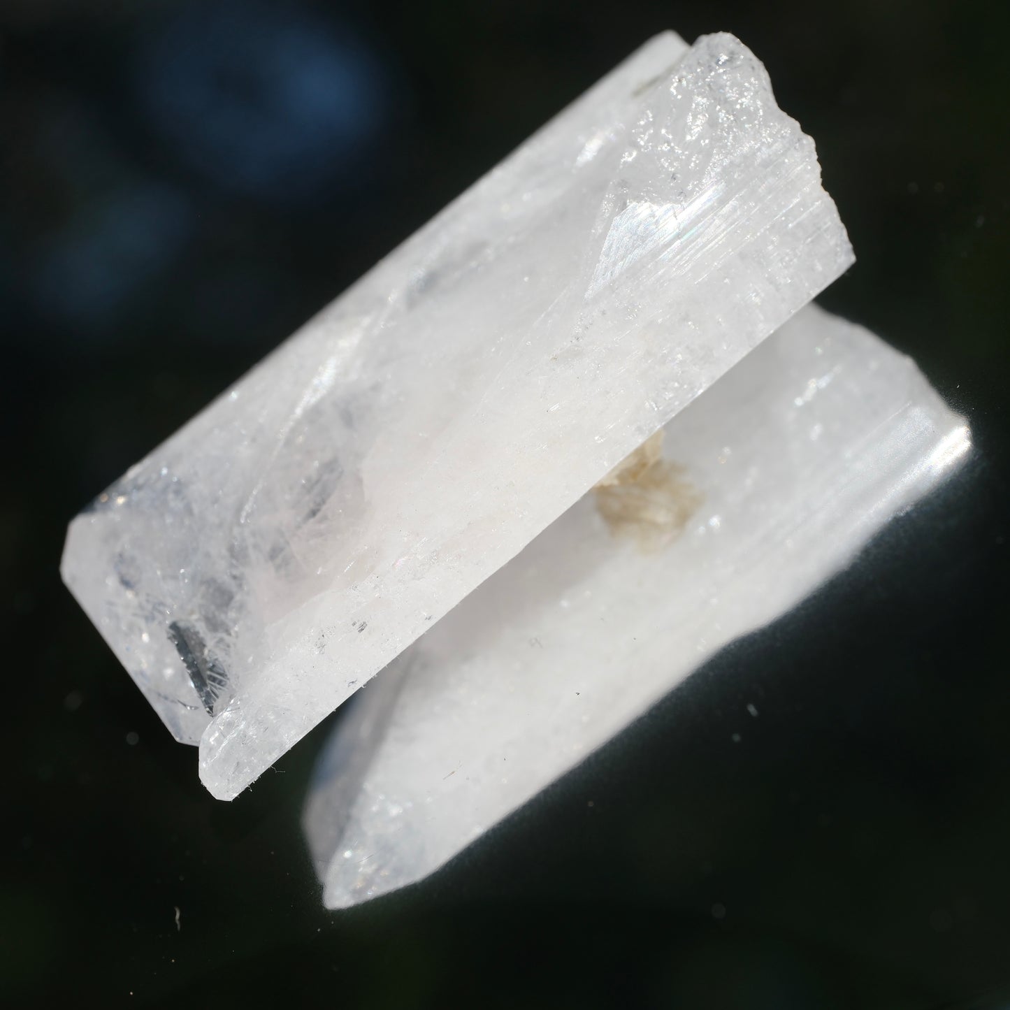 Danburite with Citrine *RARE*