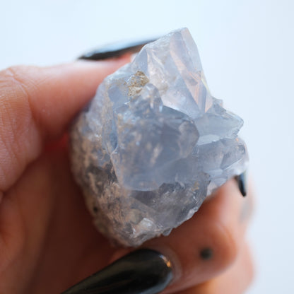 Celestite Clusters
