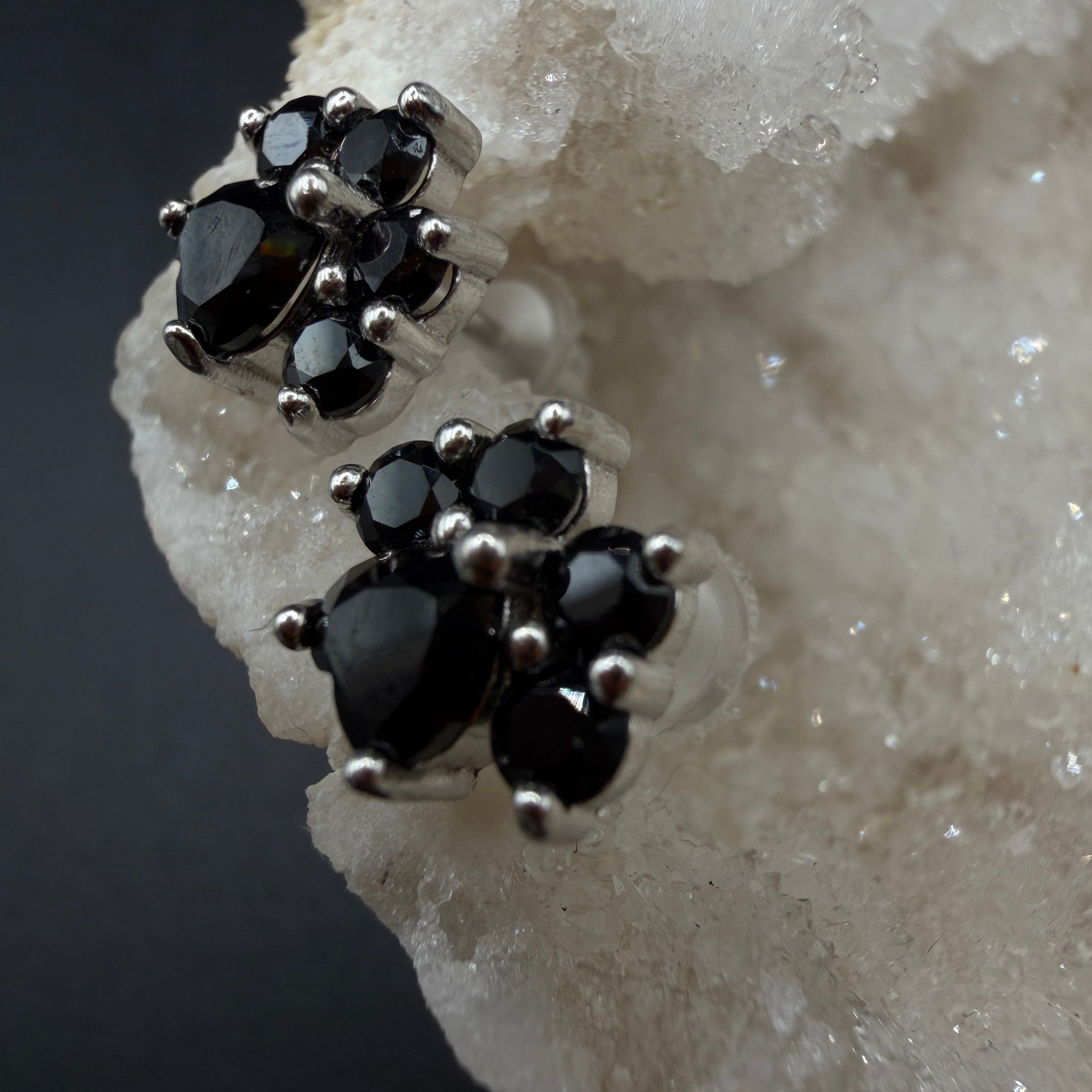 Black Spinel Paw S925 Earrings
