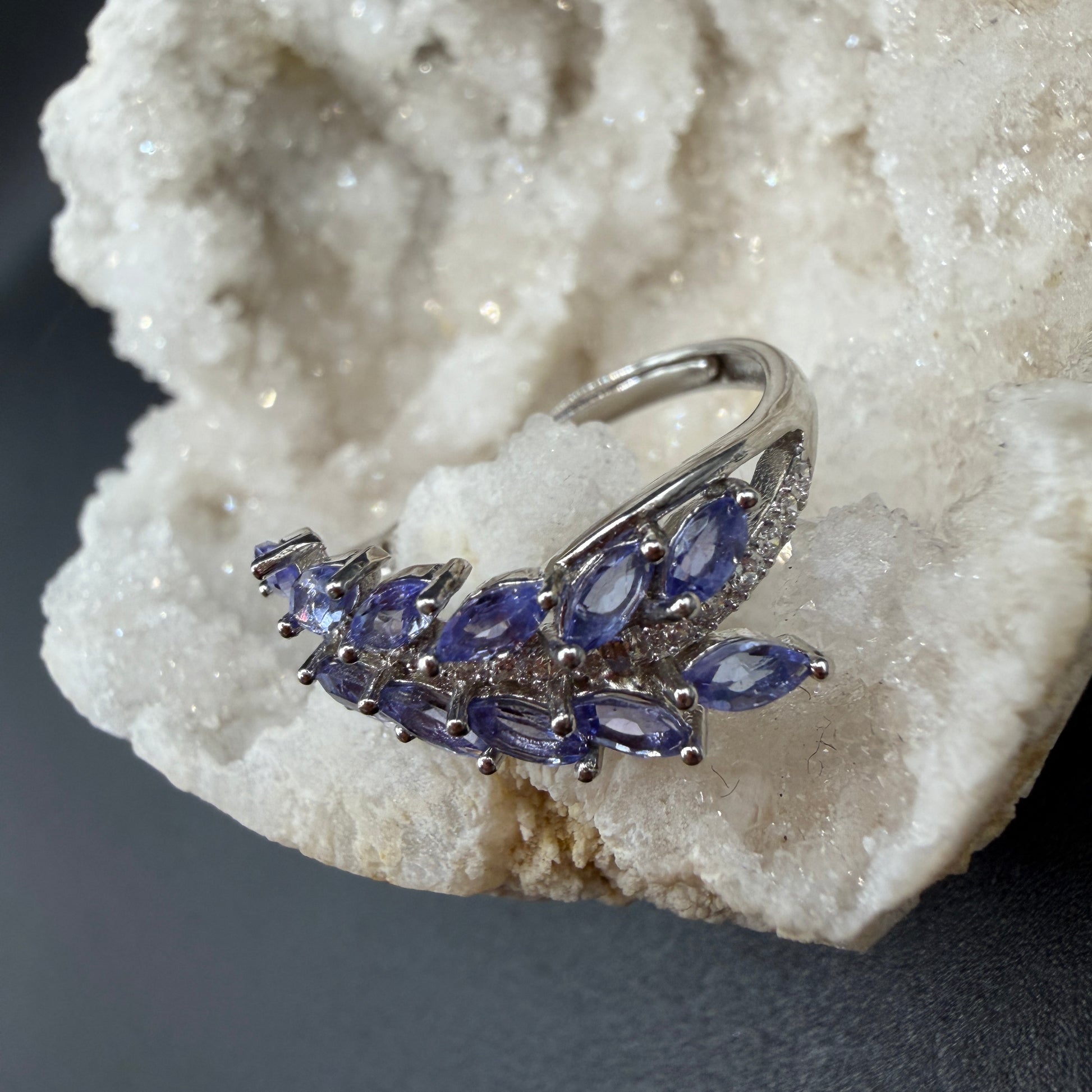 Tanzanite Leaf Earrings and Necklace S925 Certified Set