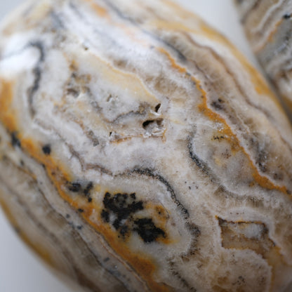 Bumblebee Jasper Palm Stone