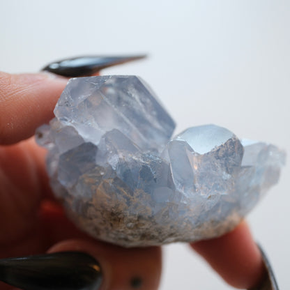 Celestite Clusters