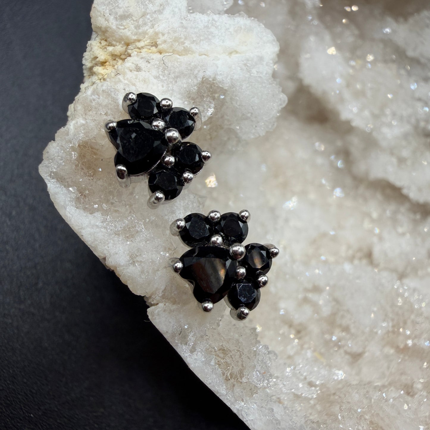 Black Spinel Paw S925 Earrings