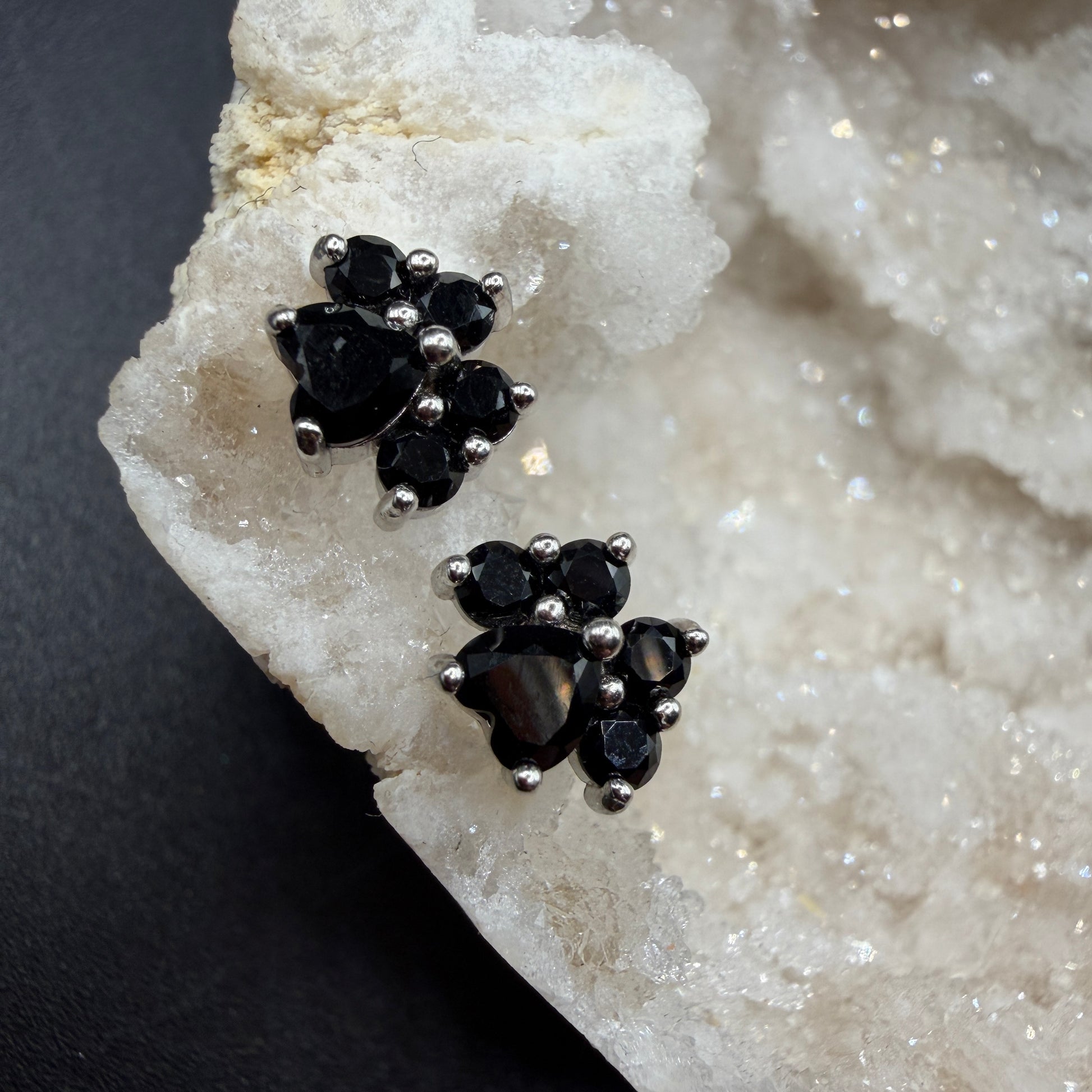 Black Spinel Paw S925 Earrings