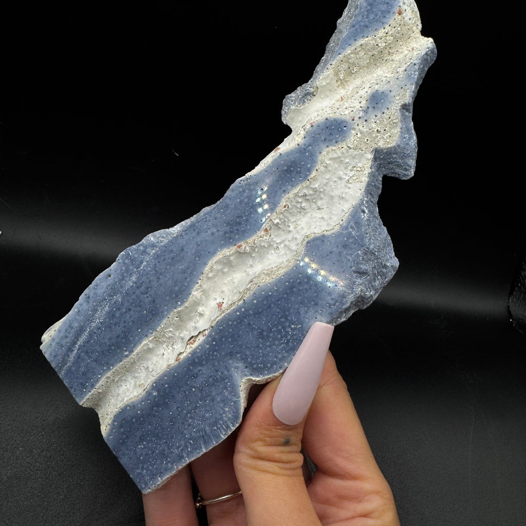 Australian Blue Coral Slabs