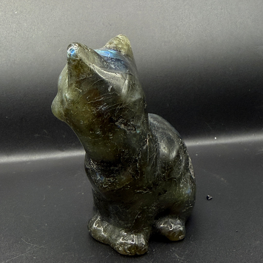 Labradorite Cat Carving