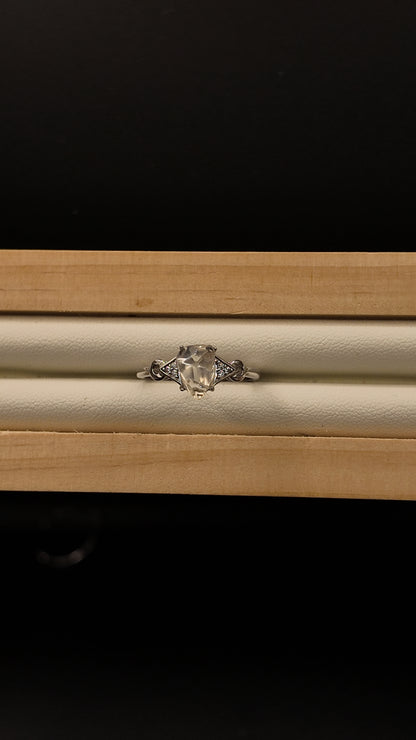 Moonstone Freeform S925 Adjustable Ring