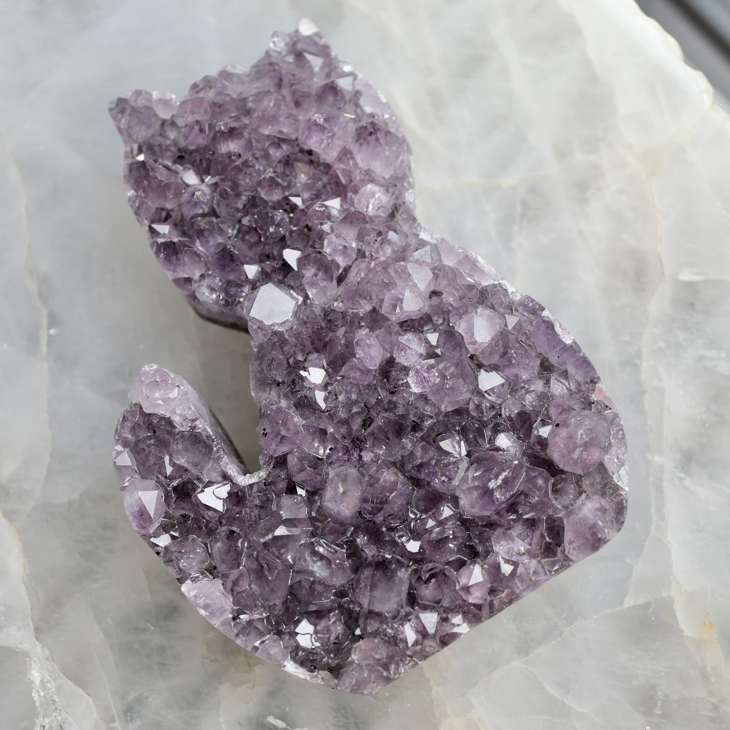 Amethyst Cat Cluster - Brazil