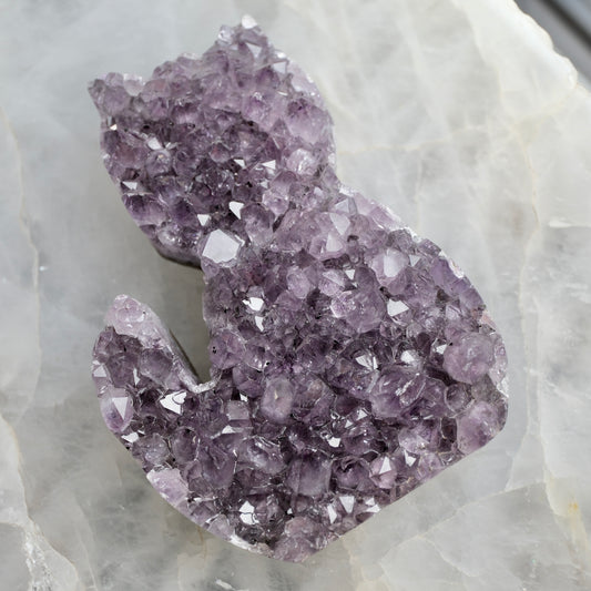 Amethyst Cat Cluster - Brazil
