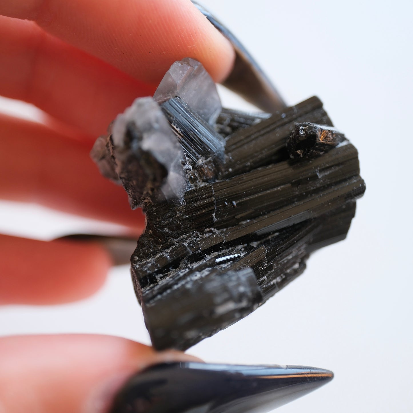 Black Tourmaline in Quartz High Quality Specimens