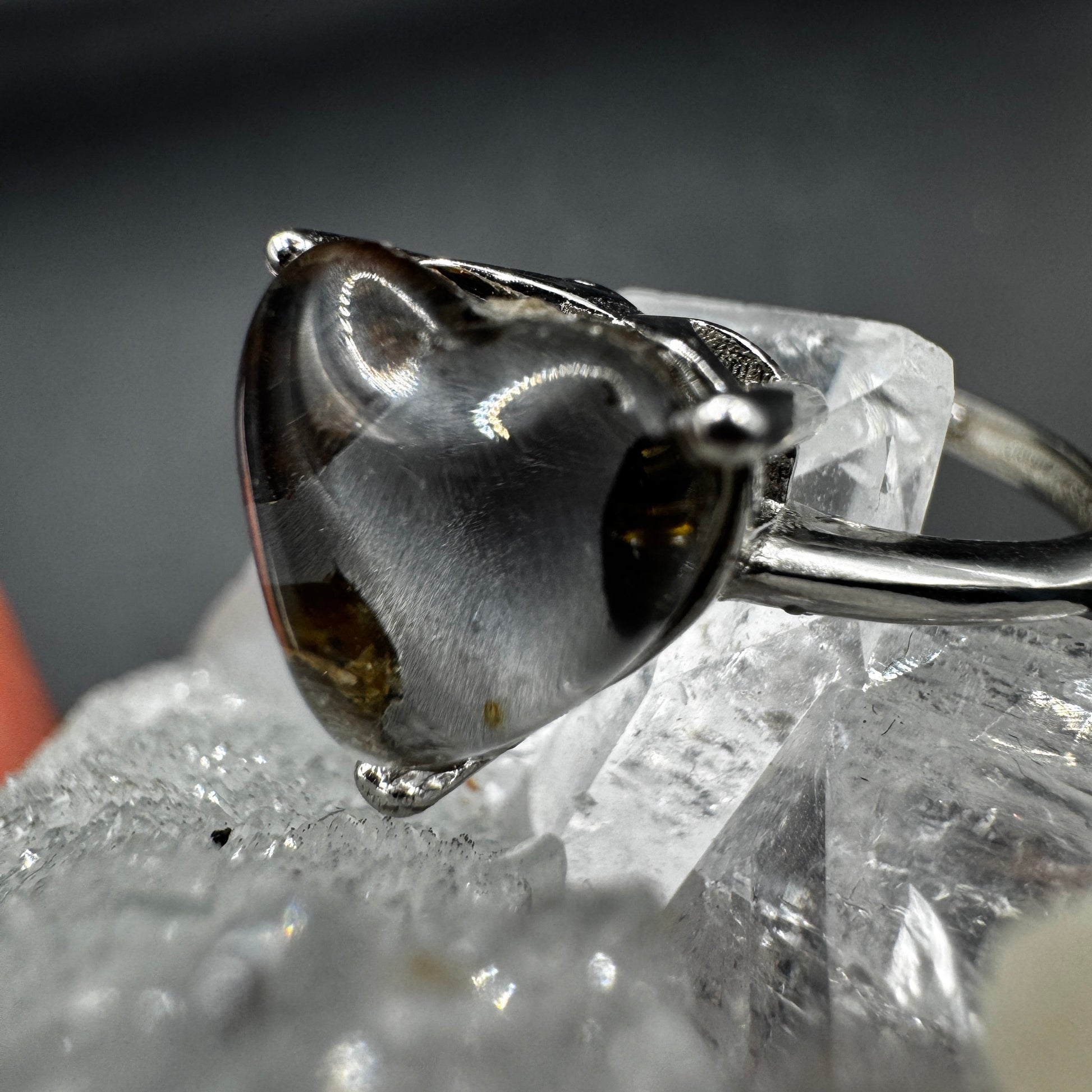 Pallasite Adjustable Ring
