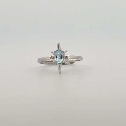 Aquamarine S925 Adjustable Ring