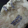 Tanzanite Leaf Earrings and Necklace S925 Certified Set