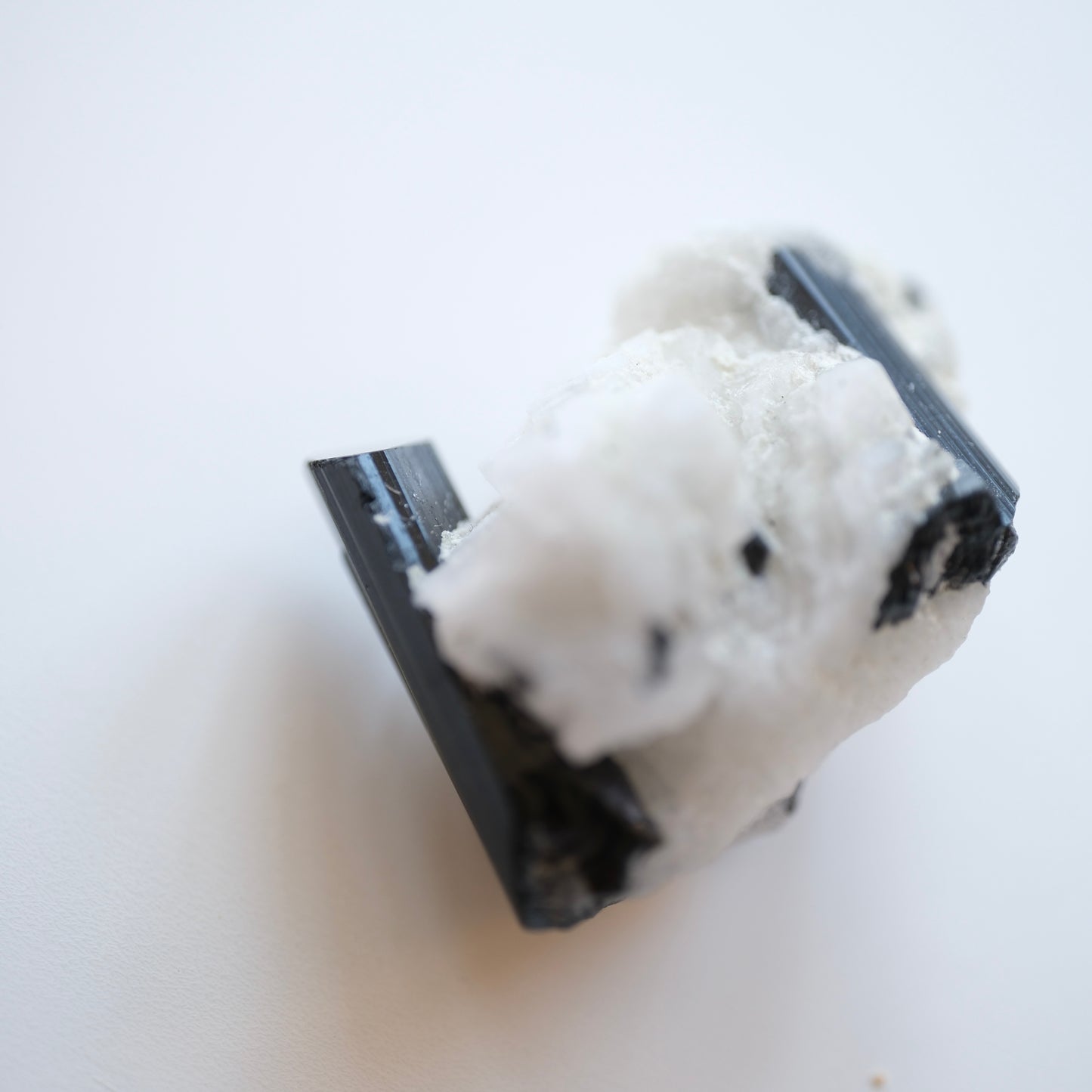 Black Tourmaline in Quartz High Quality Specimens