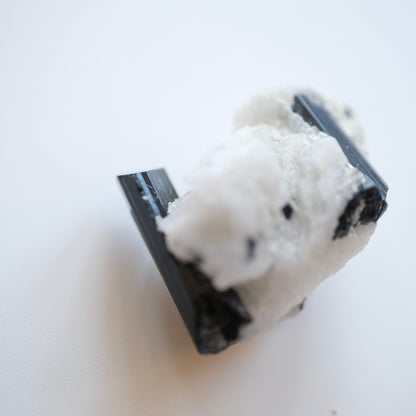 Black Tourmaline in Quartz High Quality Specimens