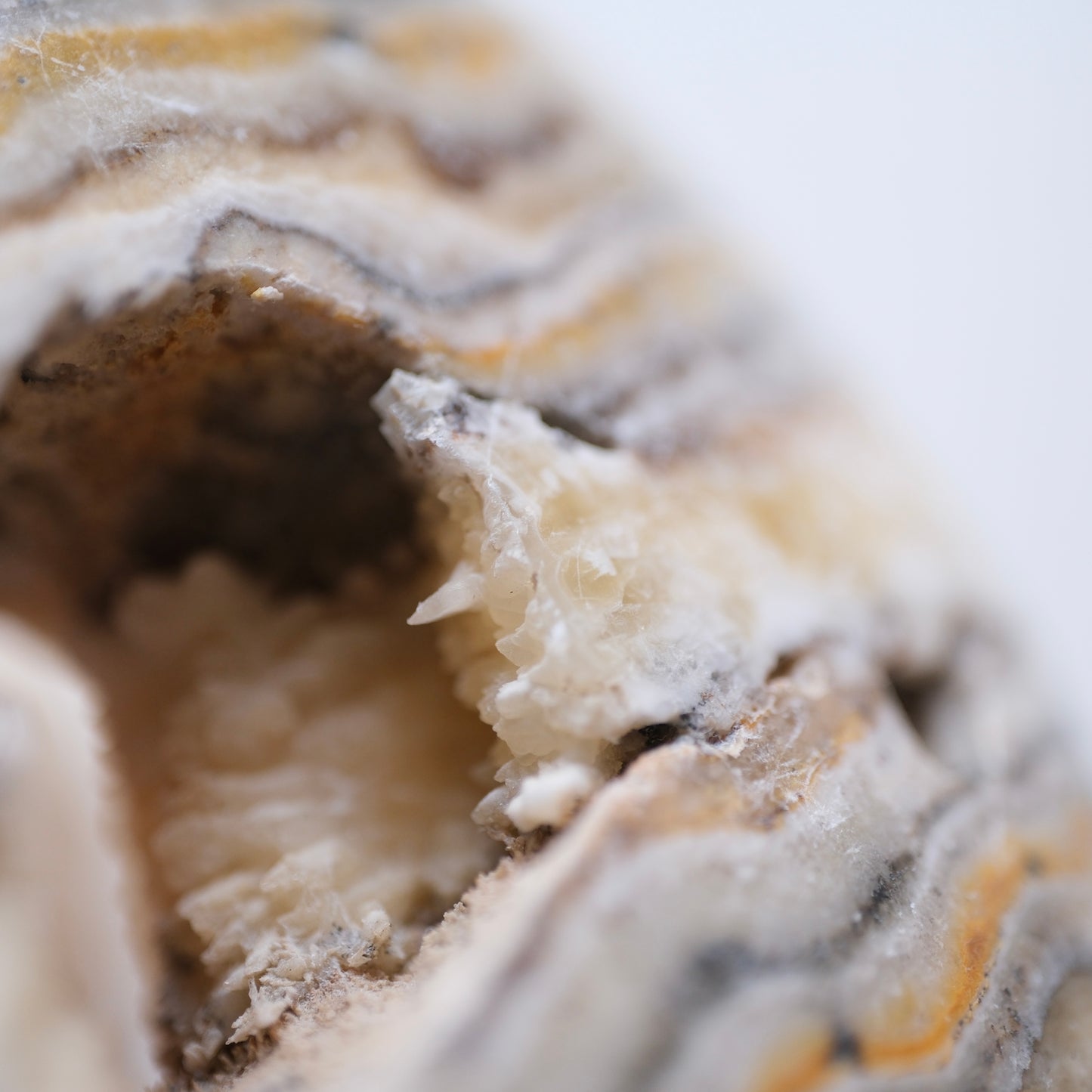 Bumblebee Jasper Palm Stone