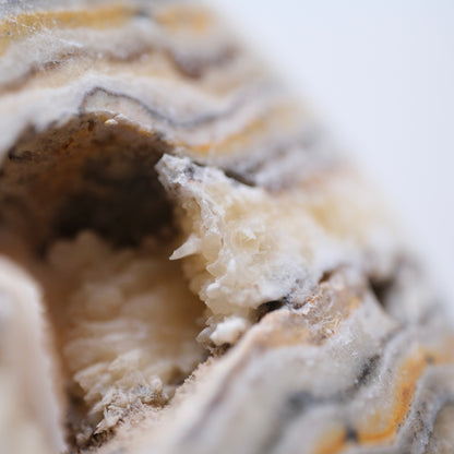 Bumblebee Jasper Palm Stone