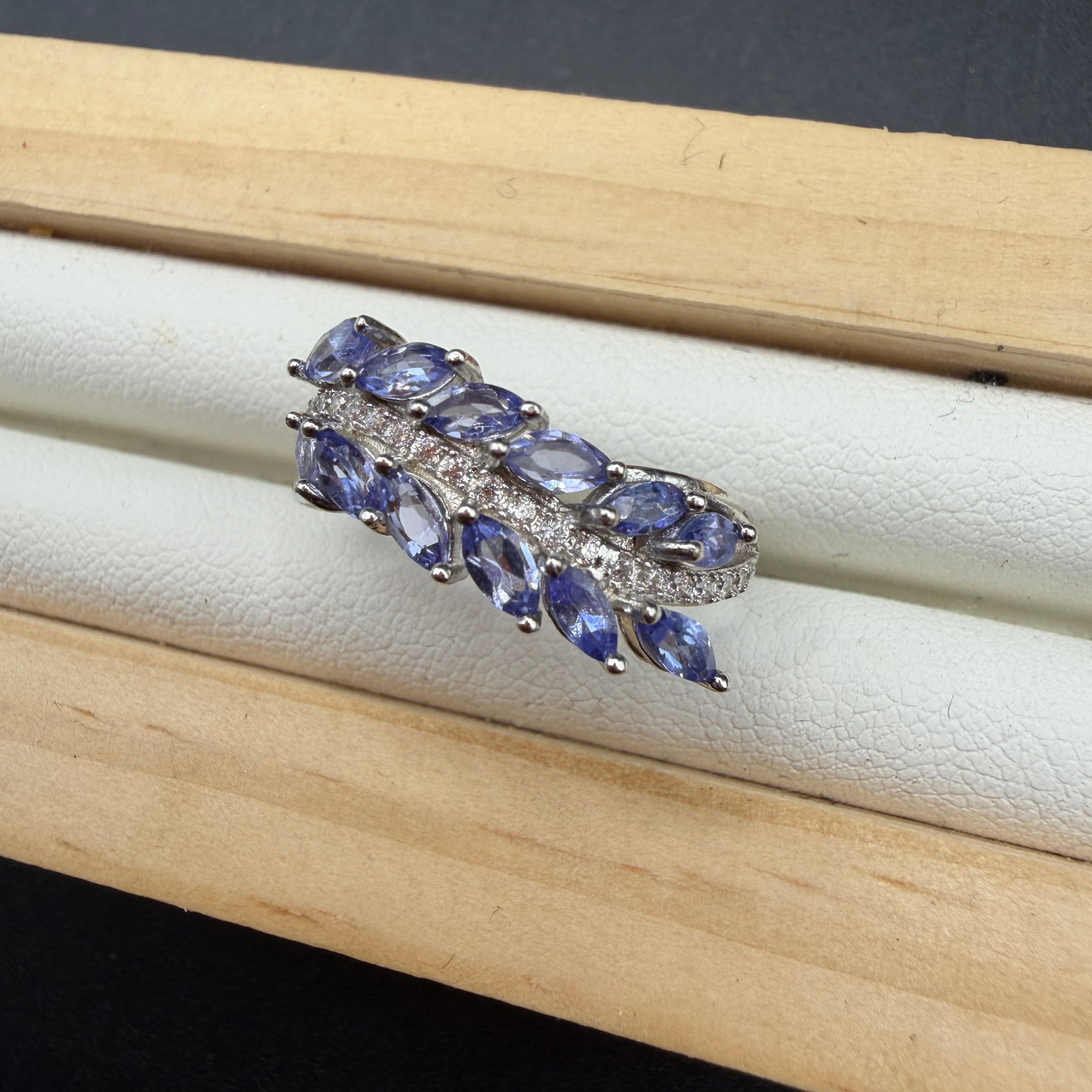 Tanzanite Leaf Earrings and Necklace S925 Certified Set