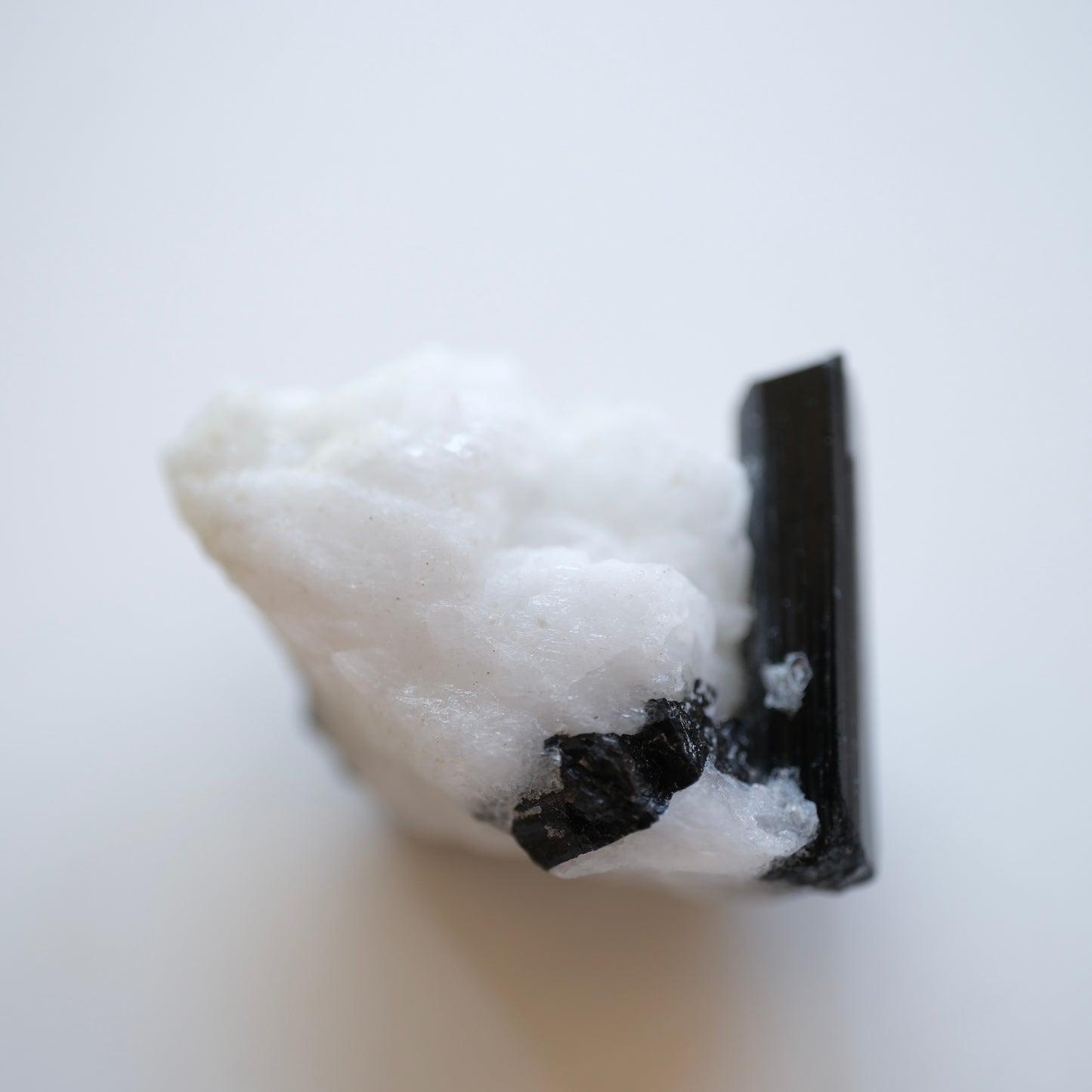 Black Tourmaline in Quartz High Quality Specimens