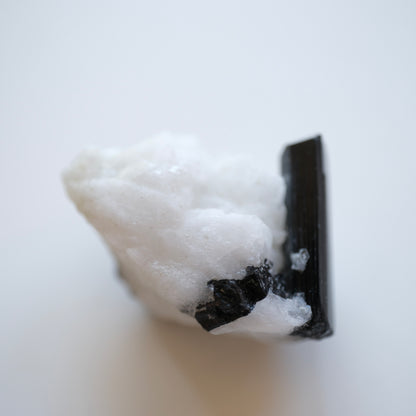 Black Tourmaline in Quartz High Quality Specimens