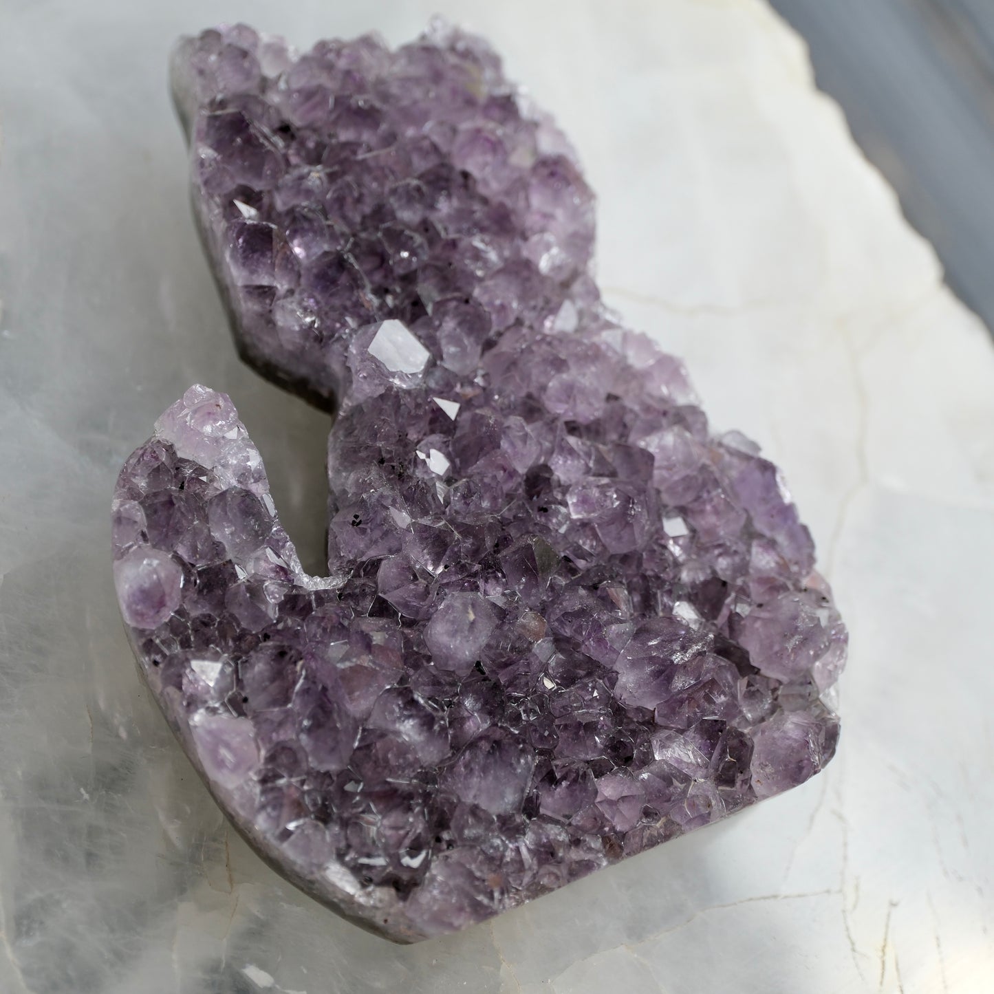 Amethyst Cat Cluster - Brazil