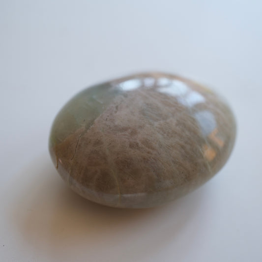 Green Moonstone Palm Stone