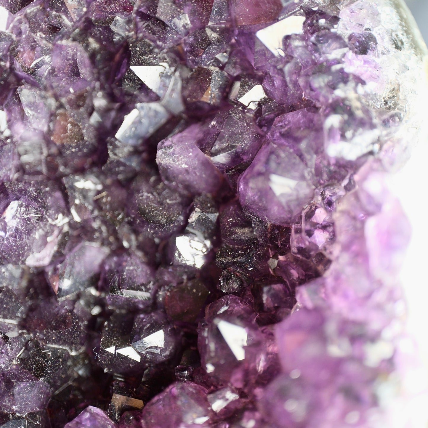 Amethyst Cat Cluster - Brazil