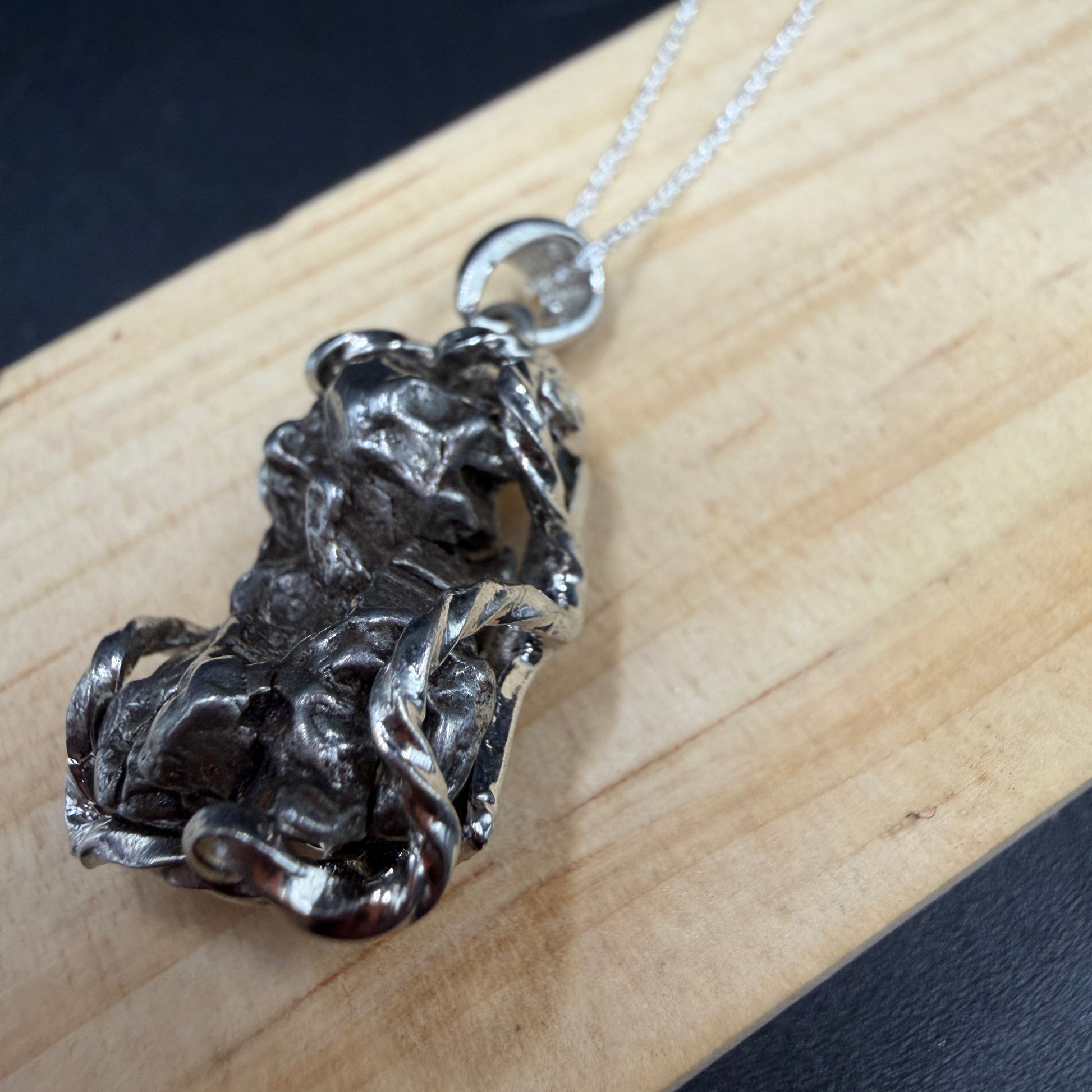 Argentina Iron Meteorite S925 Necklace