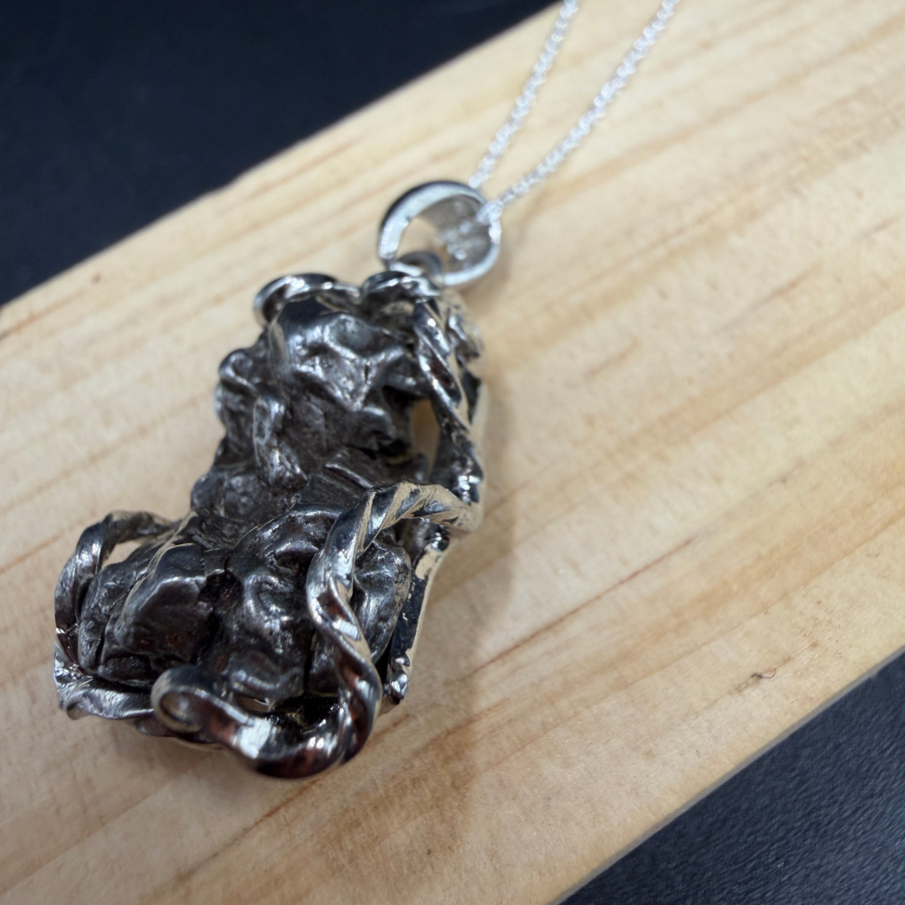 Argentina Iron Meteorite S925 Necklace