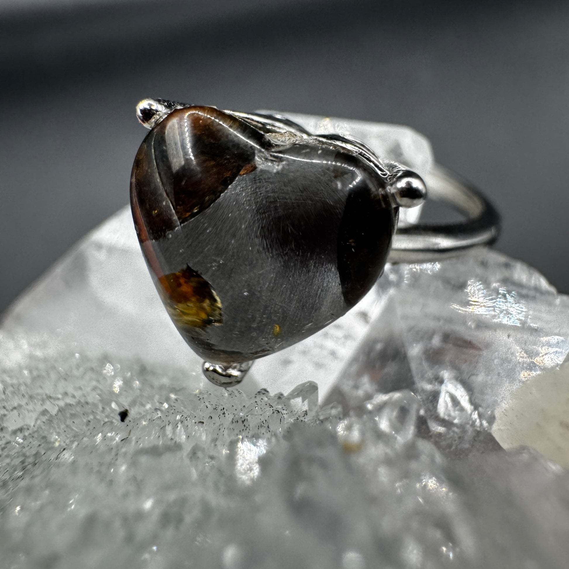 Pallasite Adjustable Ring