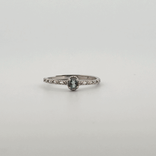 Aquamarine S925 Adjustable Ring