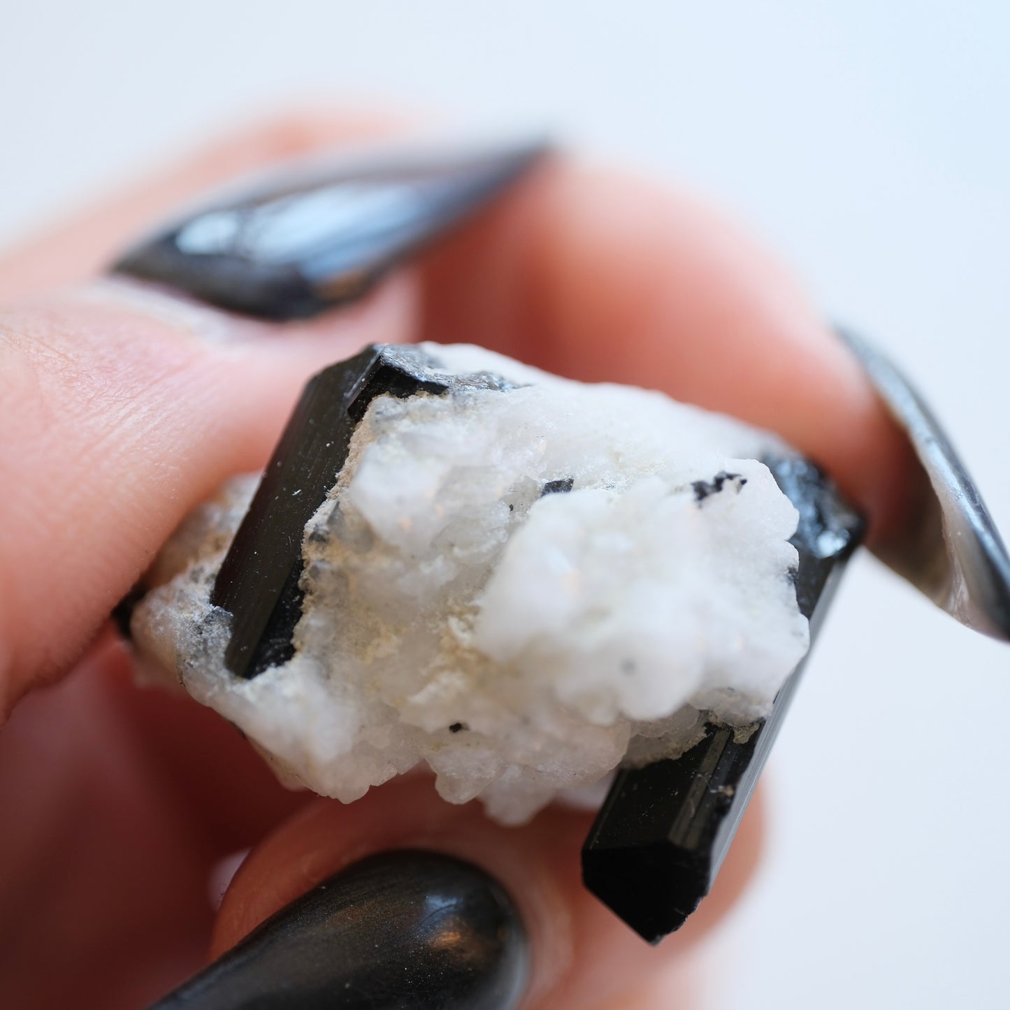 Black Tourmaline in Quartz High Quality Specimens