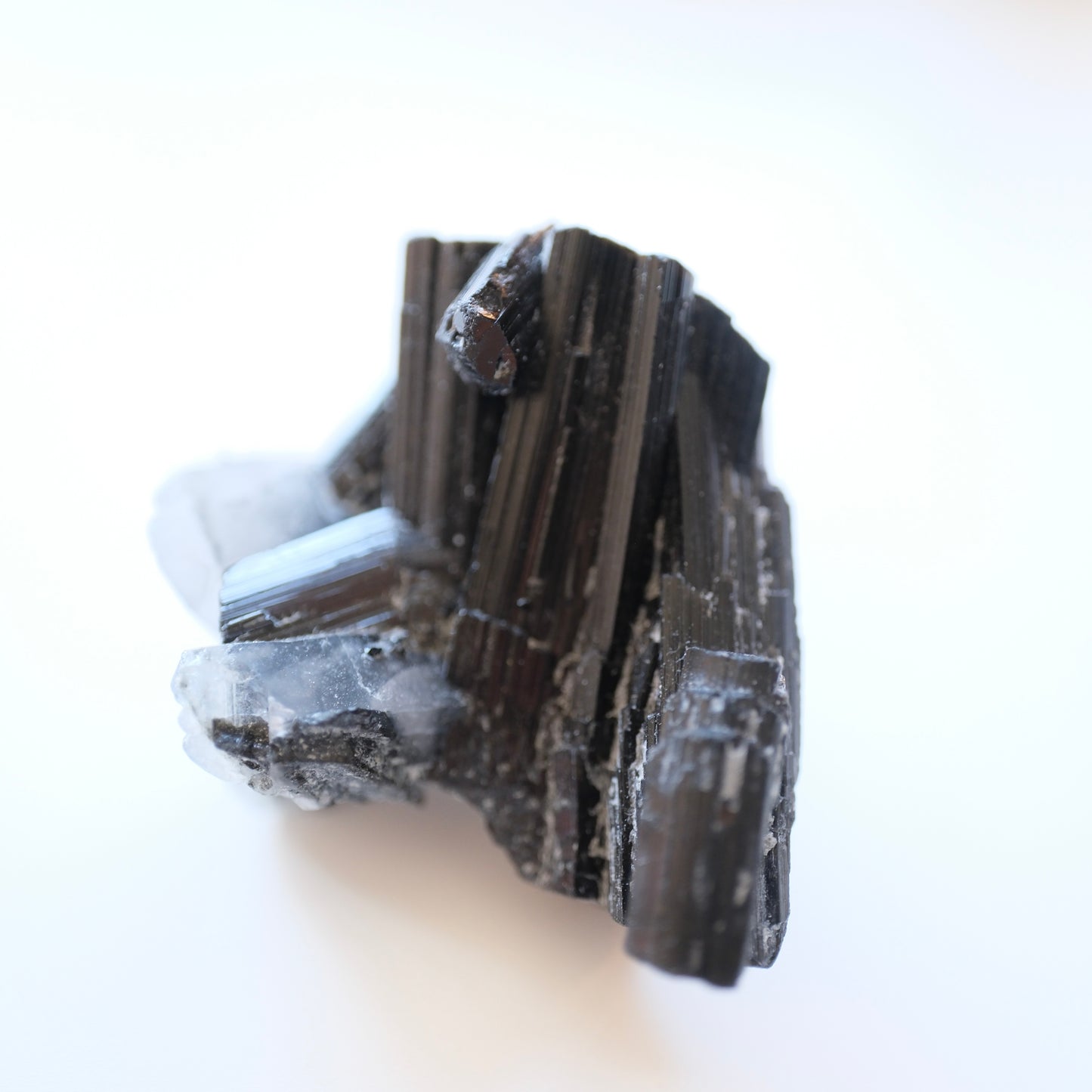 Black Tourmaline in Quartz High Quality Specimens